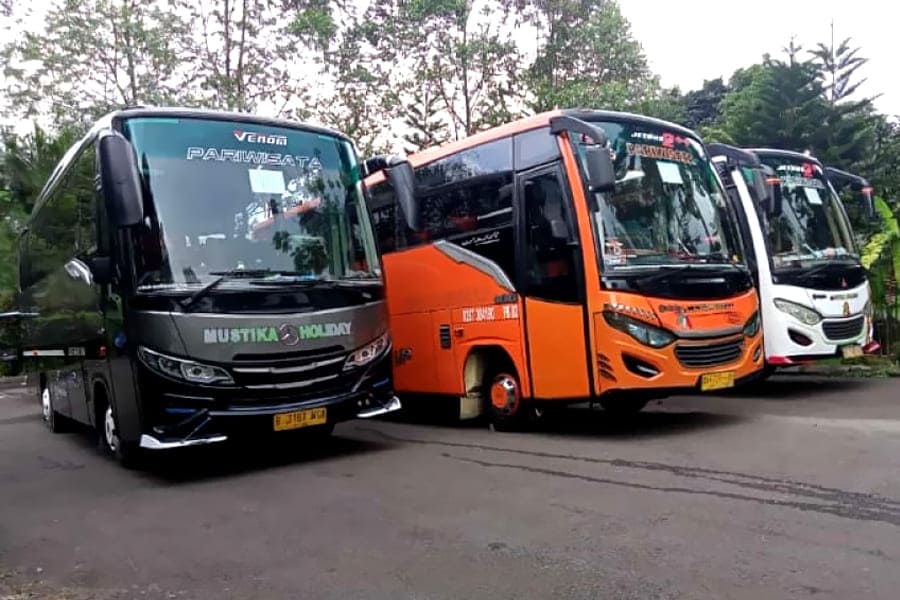 SEWABUSJAKARTAMURAH.COM