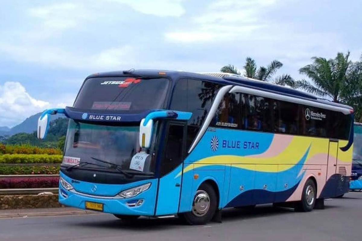 Sewa Medium Bus Pariwisata 31-33 Seats - Blue Star